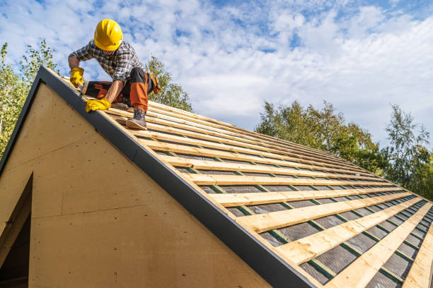 Roof Gutter Cleaning in Piedmont, MO